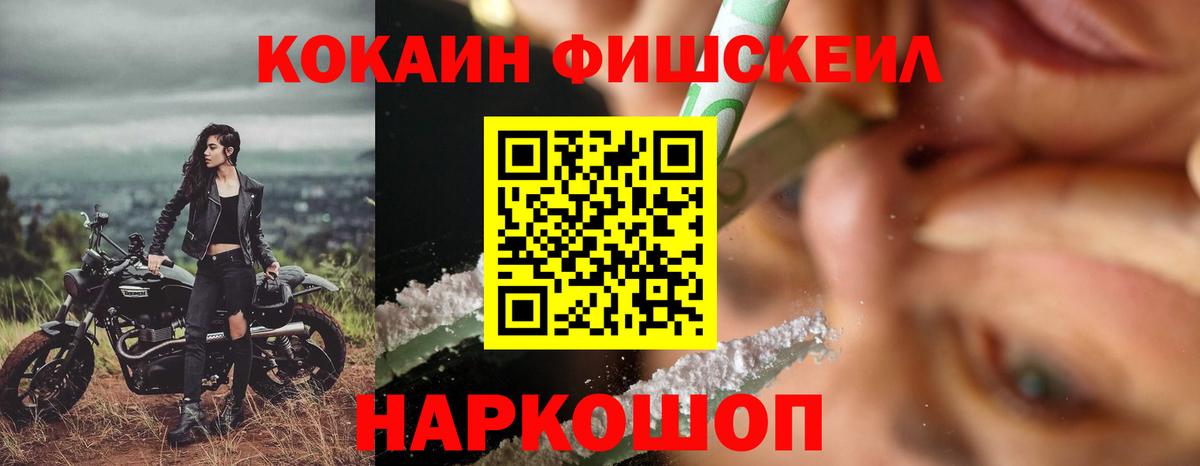 Cocaine Fish Scale  Cocaine  Новошахтинск  Вход с VPN 