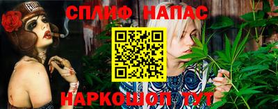 apvp Свободный