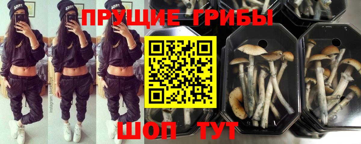 Галлюциногенные грибы Magic Shrooms Новошахтинск