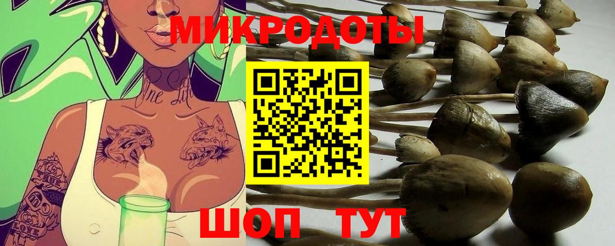 Новошахтинск  Псилоцибиновые грибы мухоморы  Вход с VPN  Галлюциногенные грибы мухоморы 